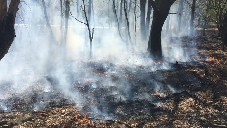 Waldbrand im Kreis Viersen