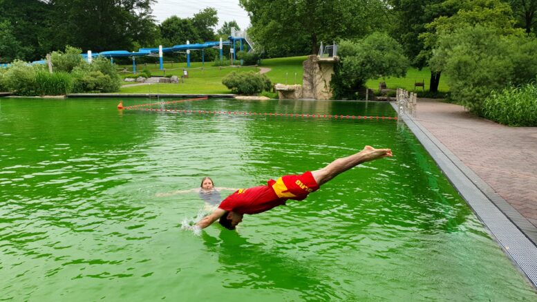 DLRG-Retter springt ins Naturfreibad