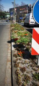 Bett in einer Baumscheibe