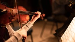 Violone