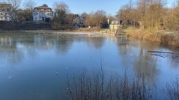 Der Goldberger Teich zugefroren.