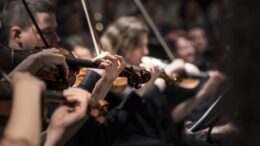 Violinenspieler