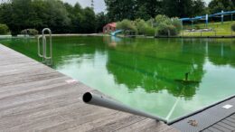 Blick auf das Becken des Naturfreibades