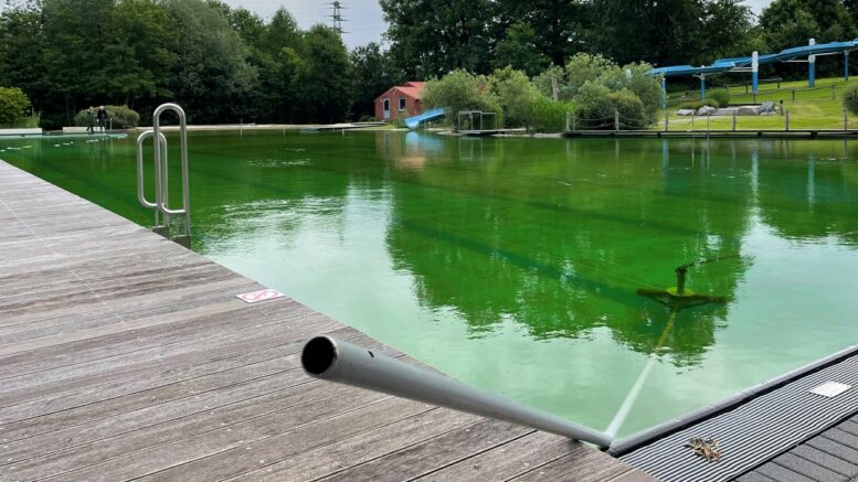 Blick auf das Becken des Naturfreibades