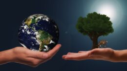 Zwei Hände halten die Welt und einen Baum