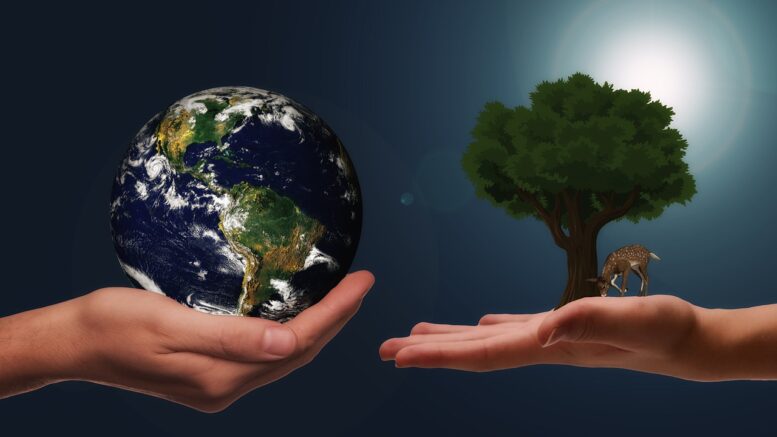 Zwei Hände halten die Welt und einen Baum