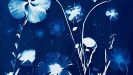Blau-Druck