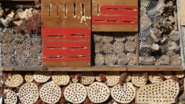 Ein Insektenhotel