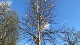 Osterbaum