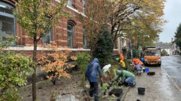 Pflanzaktion Mitmachaktion Rathaus