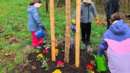 Baumpflanzaktion im Stadtwald 2026