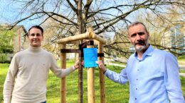 Baumpflanzaktion von Westnetz und Stadt