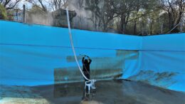 Beckenreinigung im Naturfreibad