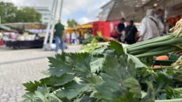 Stand auf dem Wochenmarkt