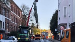 Tannebaum vor dem Rathaus wird aufgestellt